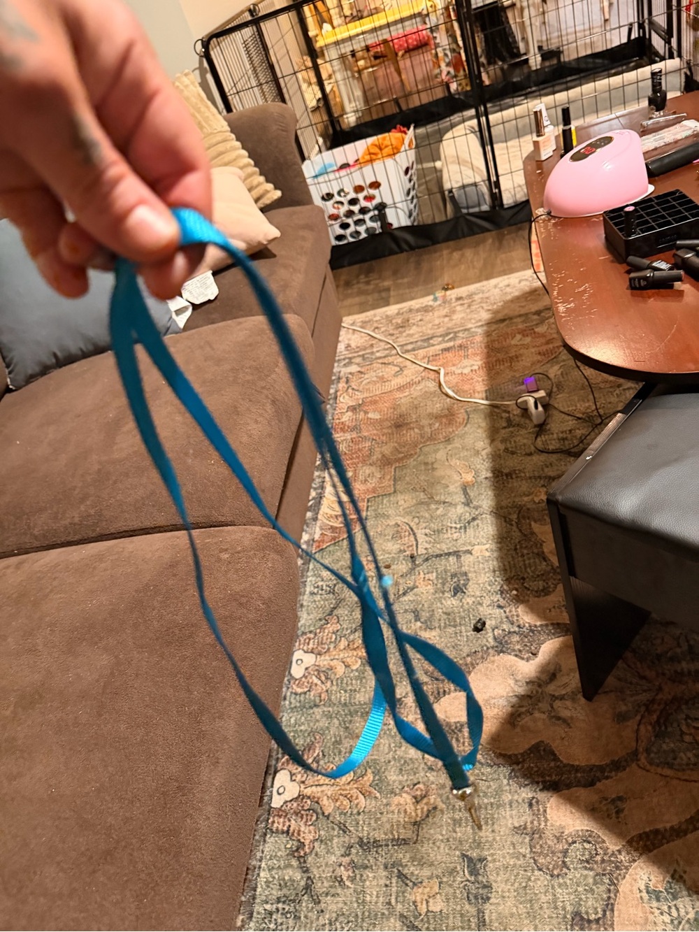 Cat Leash
